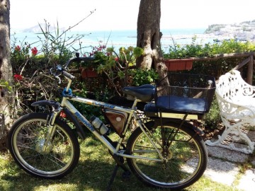 GIANCARLO M - Kit per bicicletta elettrica a pedalata assistita