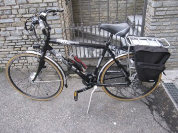 ALBERTO P - Kit per bicicletta elettrica a pedalata assistita