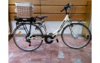 ANDREA C - Kit per bici a pedalata assistita _ raggiatura olanda